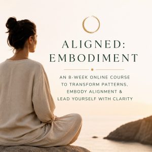 aligned-embodiment-pprogram-roduct-image