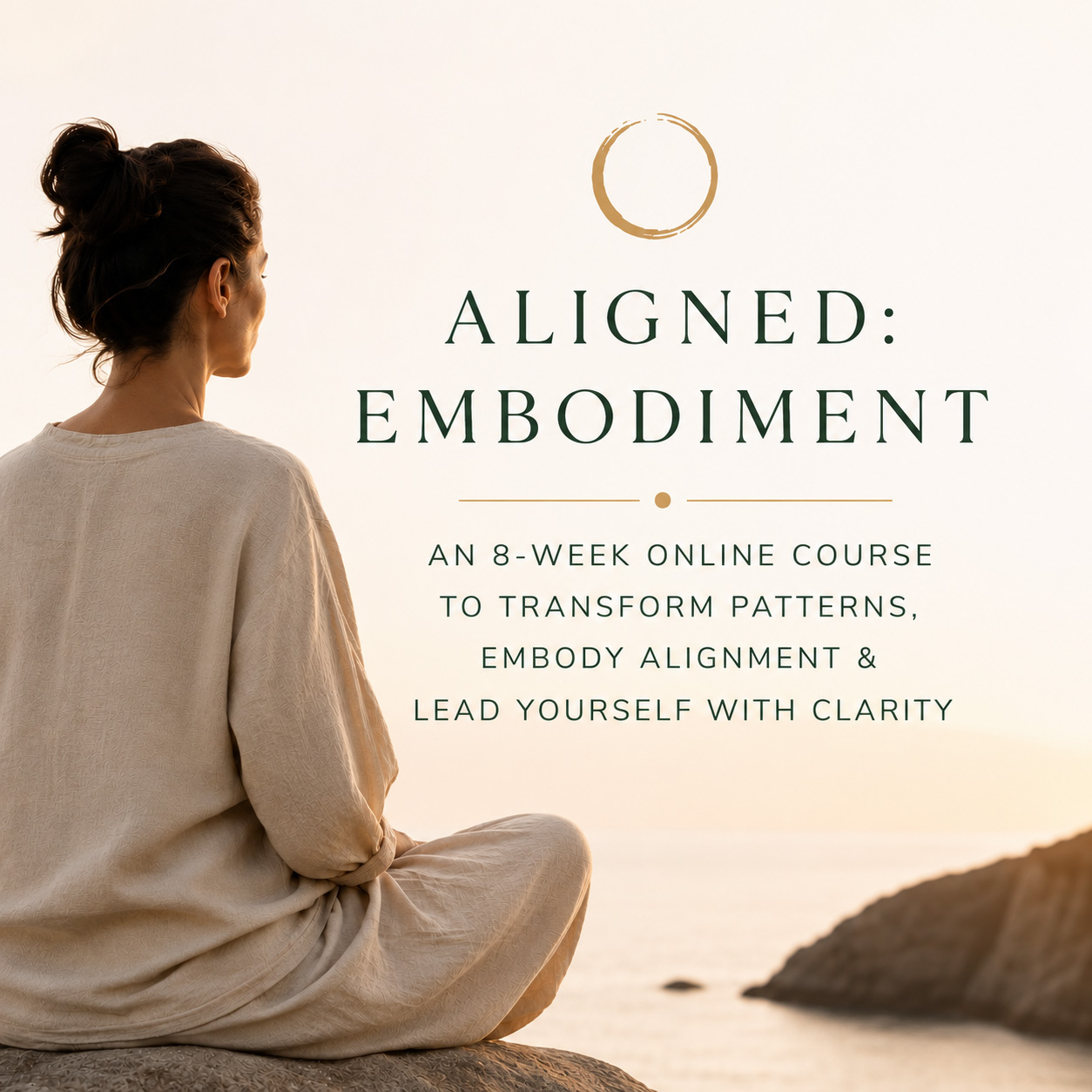 aligned-embodiment-product-image aligned-embodiment-pprogram-roduct-image